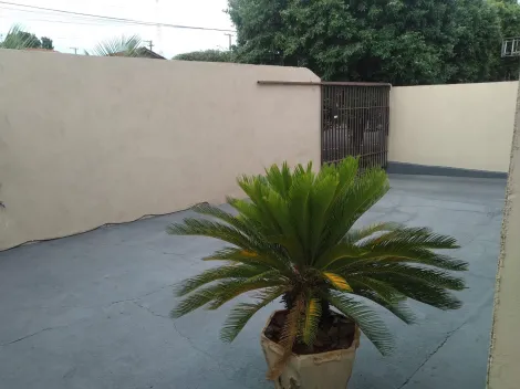 imagem 1 - Parque da Cidadania - Casa com 3 dormitórios. imagem 1 - Parque da Cidadania - Casa com 3 dormitórios.