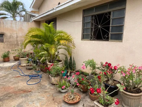 imagem 2 - Jardim Urano-  Casa com duas edículas imagem 2 - Jardim Urano-  Casa com duas edículas