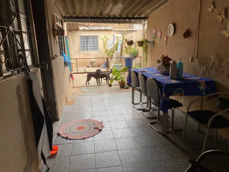 imagem 4 - Jardim Urano-  Casa com duas edículas imagem 4 - Jardim Urano-  Casa com duas edículas