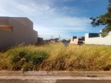 imagem 5 - Terreno - Padrão imagem 5 - Terreno - Padrão
