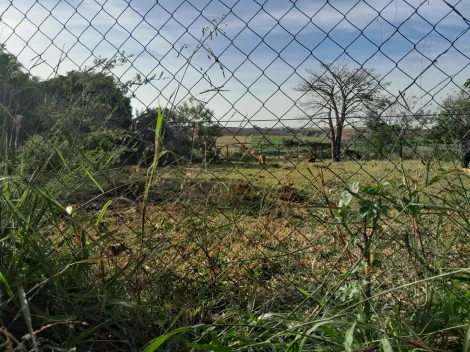 imagem 3 - Condomínio São Miguel Arcanjo - Chácara plana toda fechada com 1025 m². imagem 3 - Condomínio São Miguel Arcanjo - Chácara plana toda fechada com 1025 m².