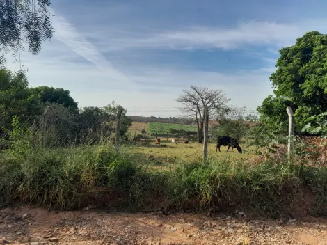Alugar Rural / Chácara em São José do Rio Preto. apenas R$ 145.000,00