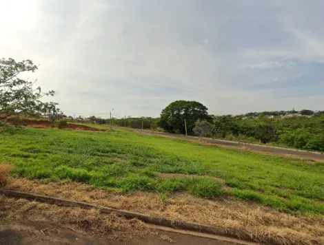 imagem 1 - Excelente terreno de 241 m² em Bady Bassitt - SP imagem 1 - Excelente terreno de 241 m² em Bady Bassitt - SP
