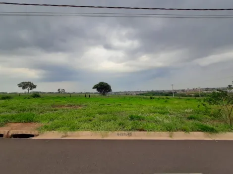 Terreno / Padrão em São José do Rio Preto 