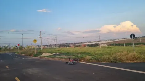 Terreno / Padrão em São José do Rio Preto 