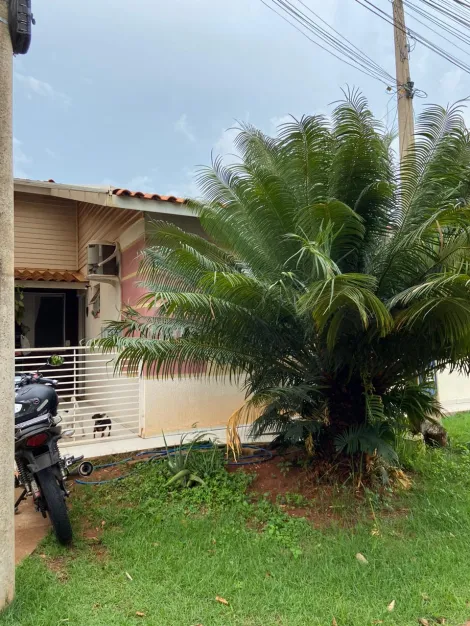 Alugar Casa / Condomínio em São José do Rio Preto R$ 1.500,00 - Foto 2