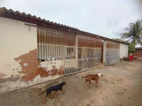 Comprar Terreno / Padrão em São José do Rio Preto R$ 800.000,00 - Foto 14