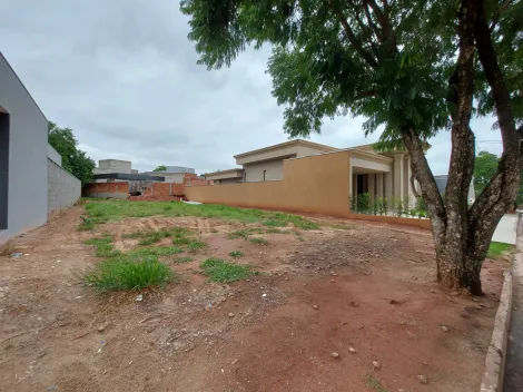 Comprar Terreno / Condomínio em Bady Bassitt R$ 200.000,00 - Foto 1