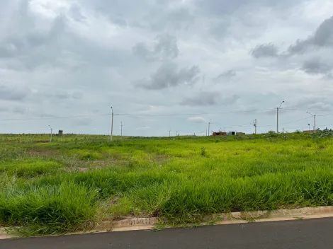 imagem 3 - Vendo - Terreno Super bem localizado - Eplatz imagem 3 - Vendo - Terreno Super bem localizado - Eplatz