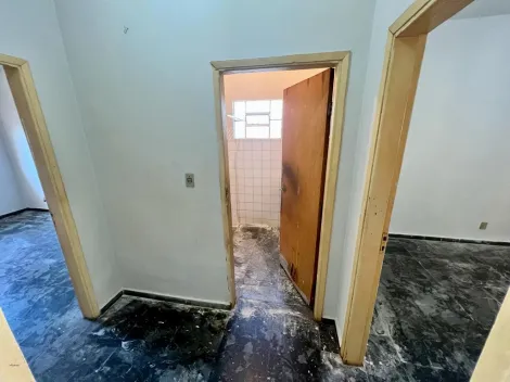 Alugar Comercial / Casa Comercial em São José do Rio Preto apenas R$ 4.000,00 - Foto 10