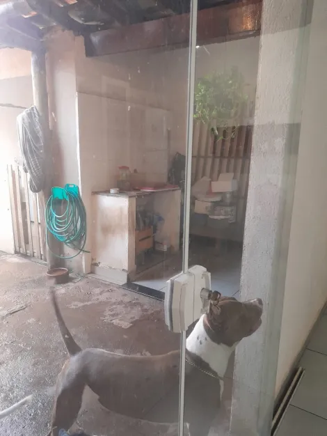 imagem 5 - Casa com 03 dormitórios na Vila São Judas Tadeu imagem 5 - Casa com 03 dormitórios na Vila São Judas Tadeu