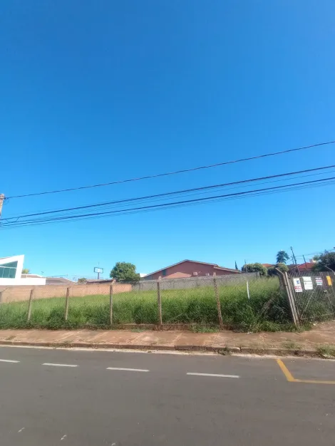 Terreno / Padrão em São José do Rio Preto , Comprar por R$350.000,00