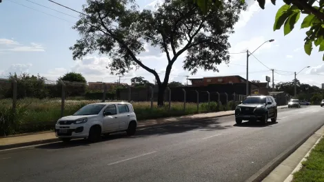 imagem 5 - Área e construção comercial - Vila São JUDAS - Bom para condomínios ou até Galerias Comerciais imagem 5 - Área e construção comercial - Vila São JUDAS - Bom para condomínios ou até Galerias Comerciais