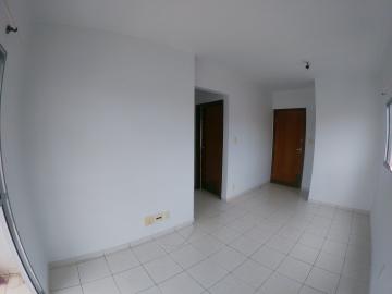 Alugar Apartamento / Padrão em São José do Rio Preto R$ 800,00 - Foto 3