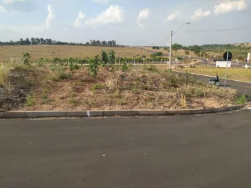 Terreno / Padrão em São José do Rio Preto 