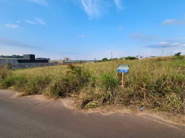 Terreno / Padrão em São José do Rio Preto , Comprar por R$85.000,00