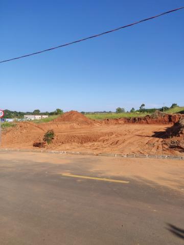 imagem 4 - Terreno no Colina com 226m² estuda imóvel como pagamento imagem 4 - Terreno no Colina com 226m² estuda imóvel como pagamento