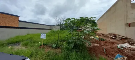 Terreno / Padrão em Bady Bassitt 