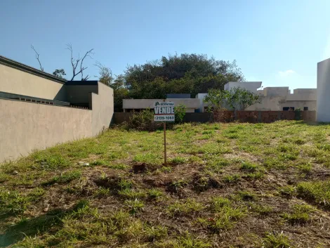 imagem 4 - Terreno - Padrão imagem 4 - Terreno - Padrão