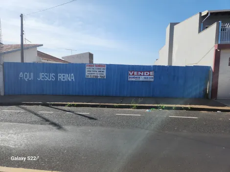 imagem 3 - Terreno Comercial Venda Centro Mirassol - SP imagem 3 - Terreno Comercial Venda Centro Mirassol - SP
