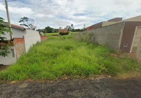 Terreno / Padrão em São José do Rio Preto , Comprar por R$55.500,00