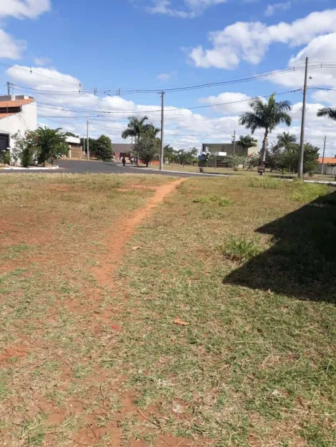 imagem 1 - Bálsamo - Bairro Residencial Parque Primavera - Lote com 374,35 m²- Disponível e Financiável imagem 1 - Bálsamo - Bairro Residencial Parque Primavera - Lote com 374,35 m²- Disponível e Financiável