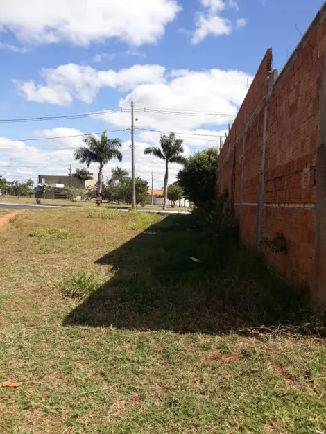 imagem 5 - Bálsamo - Bairro Residencial Parque Primavera - Lote com 374,35 m²- Disponível e Financiável imagem 5 - Bálsamo - Bairro Residencial Parque Primavera - Lote com 374,35 m²- Disponível e Financiável