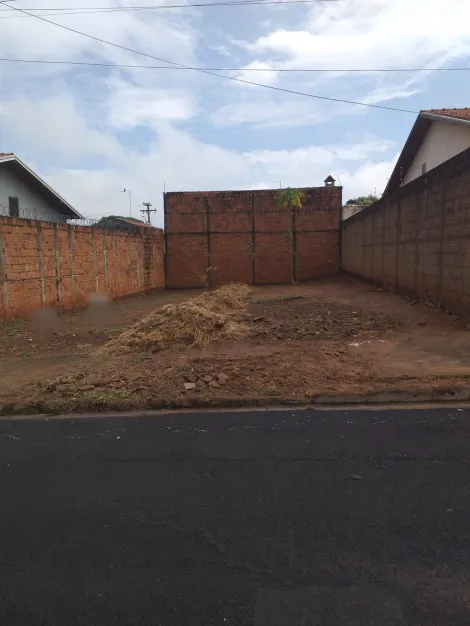 Terreno / Padrão em São José do Rio Preto 