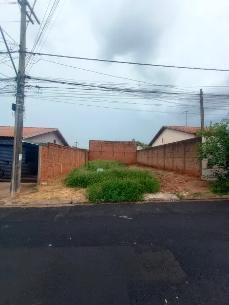 imagem 4 - Terreno com 200m² no Califórnia imagem 4 - Terreno com 200m² no Califórnia