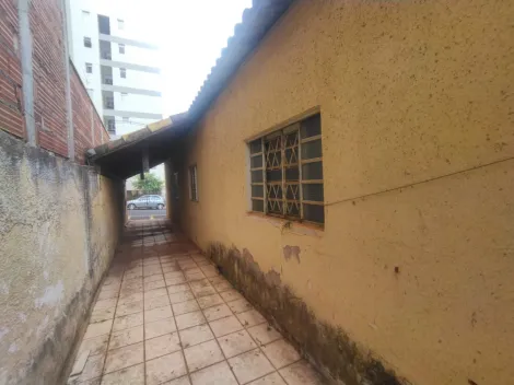imagem 3 - Boa Vista -Casa com Edícula à venda imagem 3 - Boa Vista -Casa com Edícula à venda