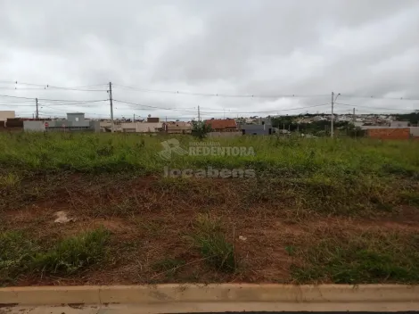 Alugar Terreno / Padrão em Mirassol. apenas R$ 100.000,00