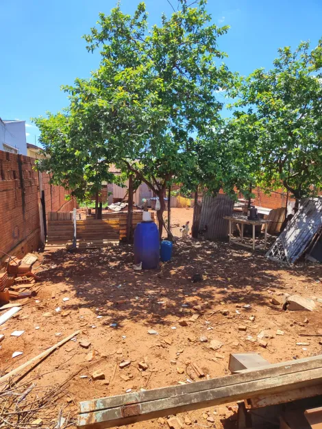imagem 1 - Terreno - Padrão imagem 1 - Terreno - Padrão