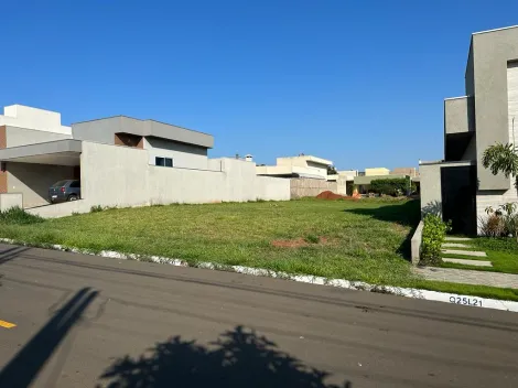 Comprar Terreno / Condomínio em São José do Rio Preto apenas R$ 390.000,00 - Foto 2