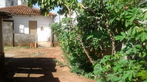 Comprar Casa / Padrão em São José do Rio Preto apenas R$ 600.000,00 - Foto 6