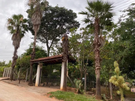 imagem 1 - Chácara Venda Estancia Bertoluzzo Cedral - SP imagem 1 - Chácara Venda Estancia Bertoluzzo Cedral - SP