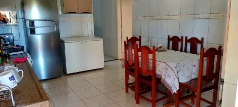 Comprar Rural / Chácara em São José do Rio Preto R$ 900.000,00 - Foto 3