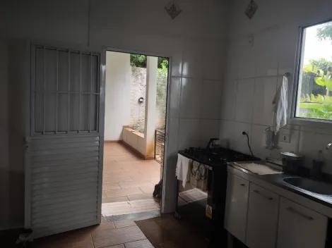 imagem 1 - Estância Bortoluzzo - Cedral - Propriedade em bom local com 2 casas, cada uma delas com 1 dorm e demais dependências e área de lazer comum imagem 1 - Estância Bortoluzzo - Cedral - Propriedade em bom local com 2 casas, cada uma delas com 1 dorm e demais dependências e área de lazer comum