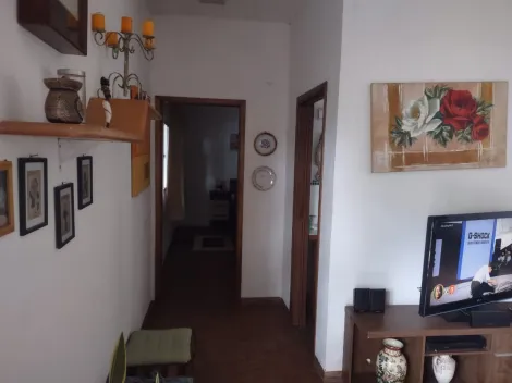 imagem 5 - Estância Bortoluzzo - Cedral - Propriedade em bom local com 2 casas, cada uma delas com 1 dorm e demais dependências e área de lazer comum imagem 5 - Estância Bortoluzzo - Cedral - Propriedade em bom local com 2 casas, cada uma delas com 1 dorm e demais dependências e área de lazer comum
