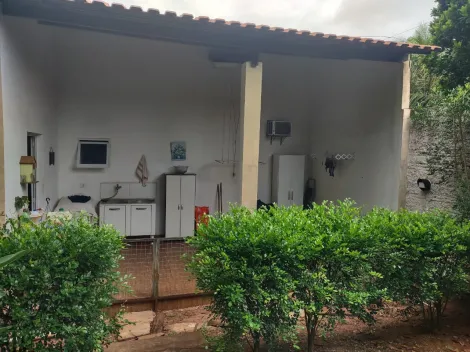 Comprar Rural / Chácara em Cedral R$ 550.000,00 - Foto 10