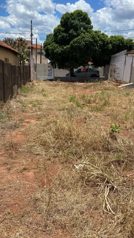 imagem 3 - Boa Vista- Terreno em ótima localização, próximo a hospital, bancos, UBS e ponto de ônibus. imagem 3 - Boa Vista- Terreno em ótima localização, próximo a hospital, bancos, UBS e ponto de ônibus.