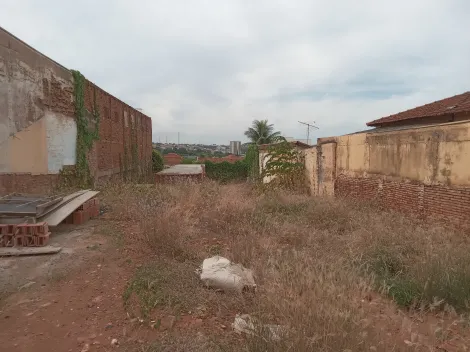 Terreno / Padrão em São José do Rio Preto , Comprar por R$700.000,00