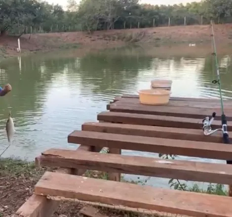 imagem 2 - Castores - Onda Verde - (33 mil metros) 3,378682 hectares; com 2 casas imagem 2 - Castores - Onda Verde - (33 mil metros) 3,378682 hectares; com 2 casas