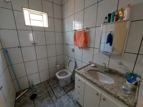 Comprar Casa / Padrão em São José do Rio Preto apenas R$ 500.000,00 - Foto 5