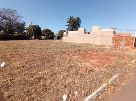 imagem 1 - Palestina - SP - Lote pronto para construir com 231,64 m² imagem 1 - Palestina - SP - Lote pronto para construir com 231,64 m²