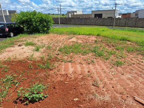 Comprar Terreno / Condomínio em Mirassol R$ 230.000,00 - Foto 5