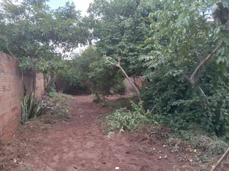 Comprar Terreno / Padrão em São José do Rio Preto apenas R$ 95.000,00 - Foto 4