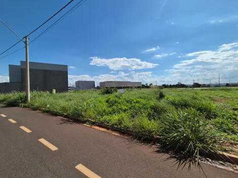 Terreno / Padrão em São José do Rio Preto 