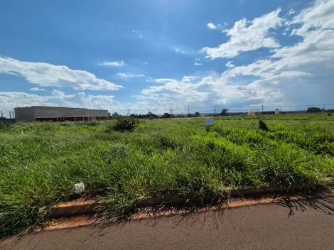 Comprar Terreno / Padrão em São José do Rio Preto apenas R$ 670.000,00 - Foto 2