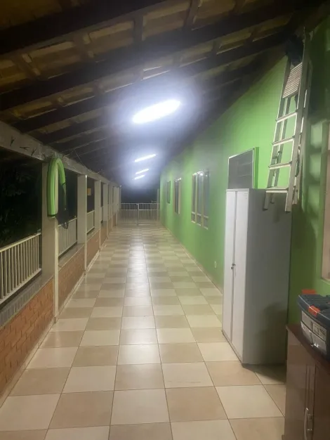imagem 4 - Chácara Urbana com 5 dormitórios no Município de Cedral. imagem 4 - Chácara Urbana com 5 dormitórios no Município de Cedral.