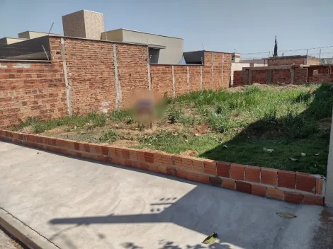 imagem 1 - Excelente Terreno no Bairro Setsul 1 imagem 1 - Excelente Terreno no Bairro Setsul 1
